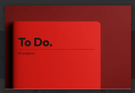 Planner ToDo list Classic (grande) TD-1