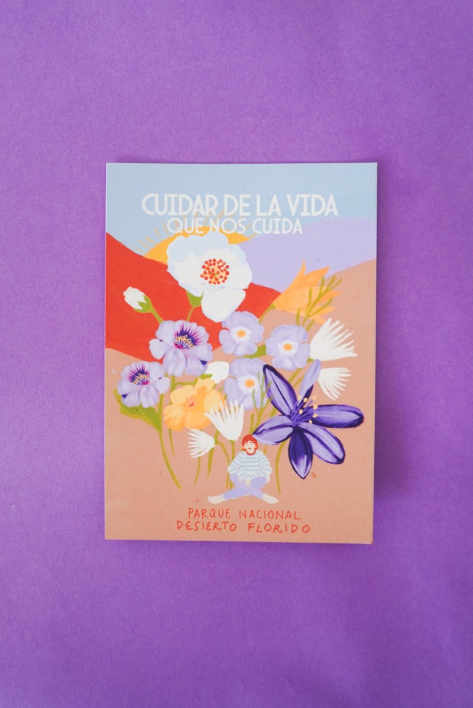 Postales Desierto Florido