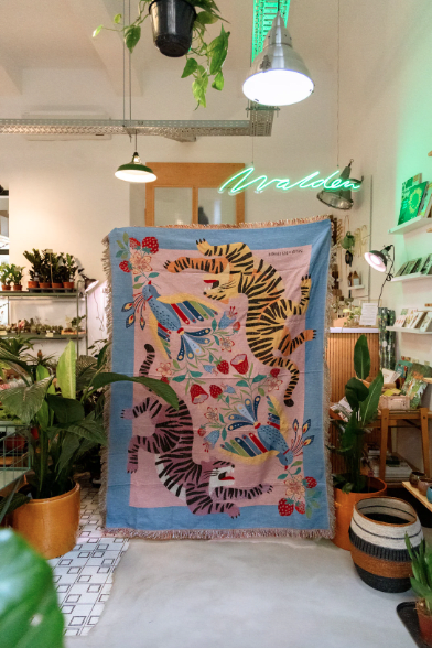 Textil Salvaje Base