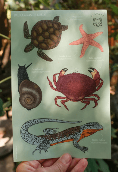 Lamina de stickers Fauna a ras Base