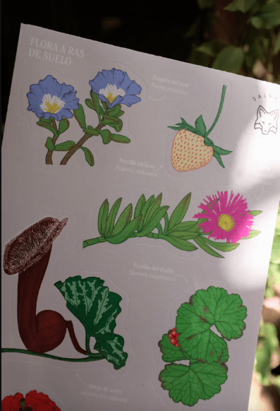 Lamina de stickers Flora a ras Base