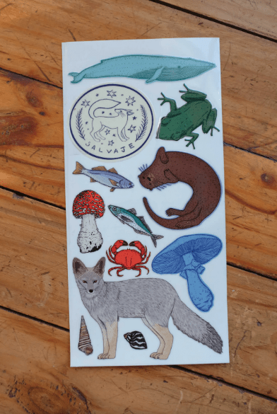 Stickers transferibles STICKERS RESISTENTES - PUMA