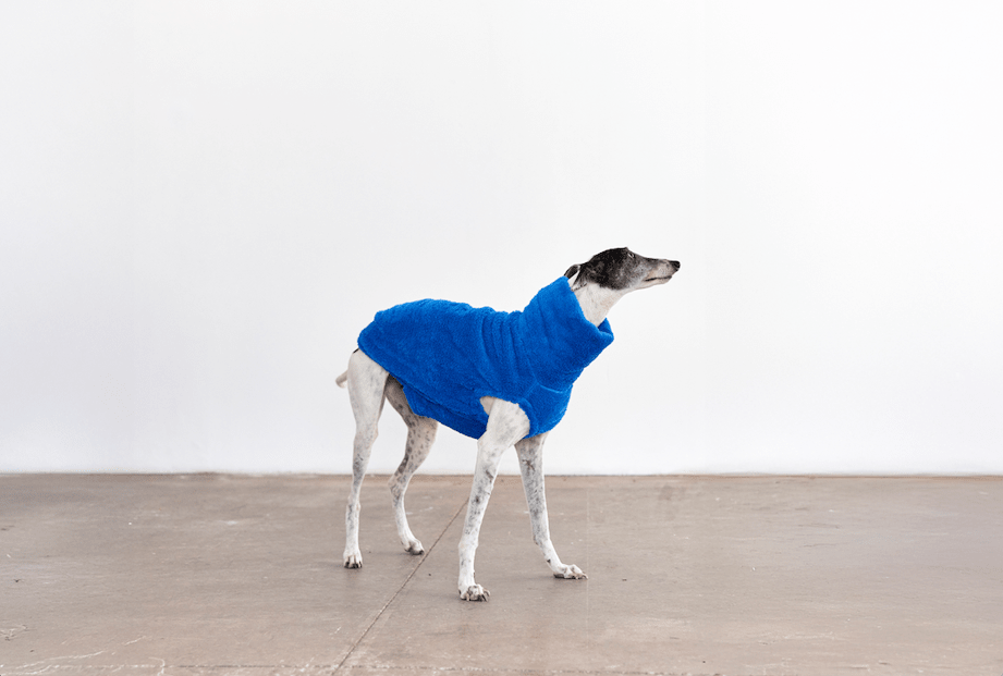 TEDDY TEO AZUL XS