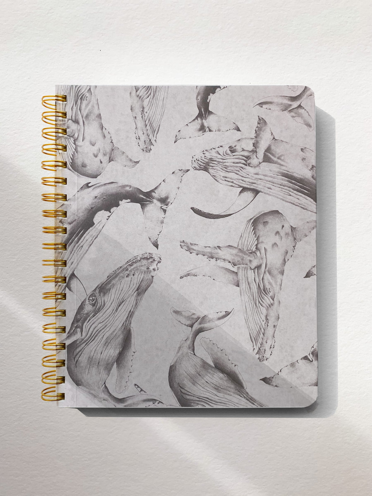 Cuaderno el Salto