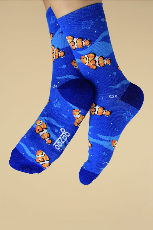Calcetin Pez Payaso Pez