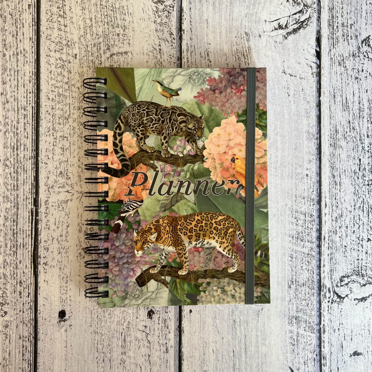 Planner 15 meses Conka Collage