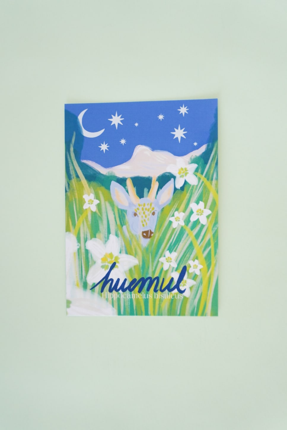 Postales Huemul
