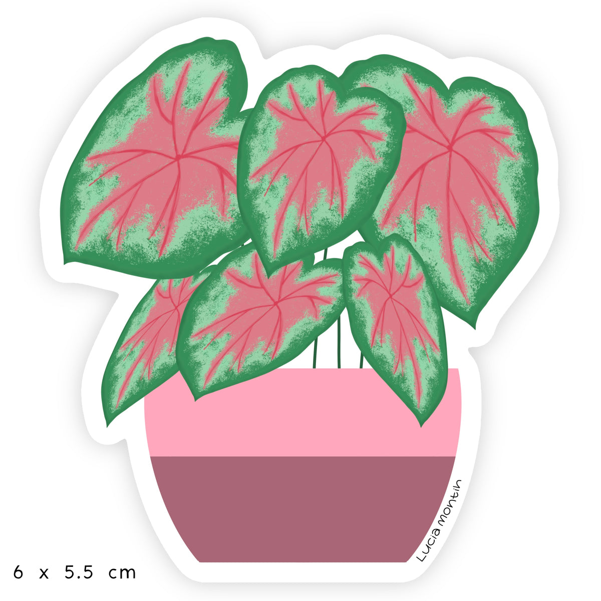 Sticker 20 – DECATALOGO