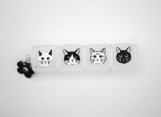 Pastilleros Diseños 4 Espacios