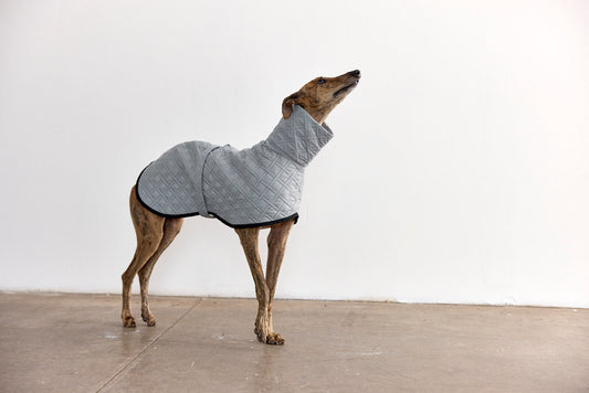 QUILTED TEO GRIS XS