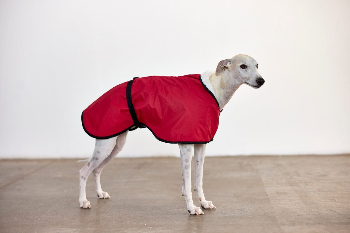 RAINY TEO ROJO XS