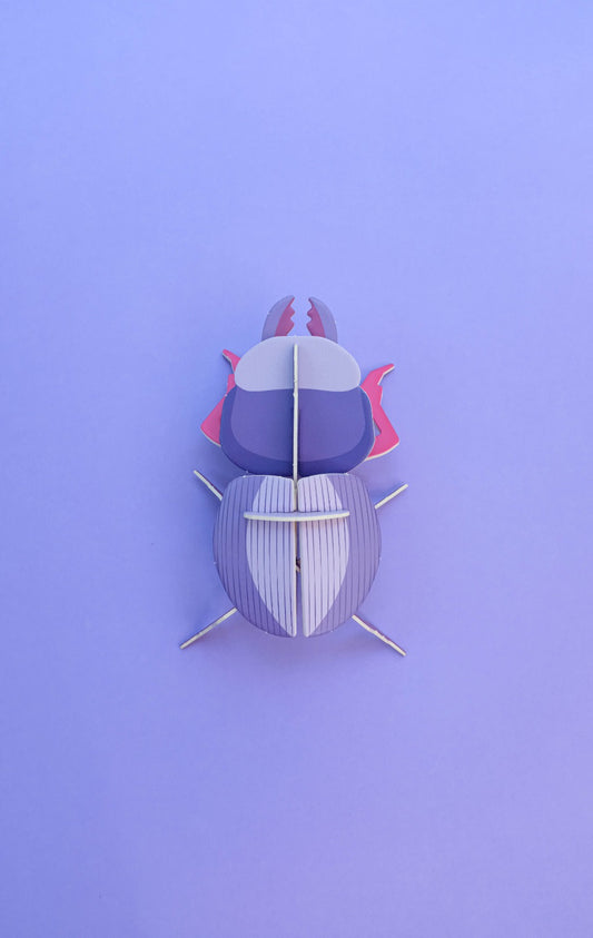 Escarabajo borrachito | Morado